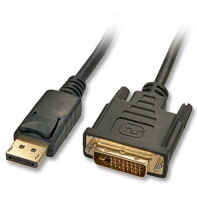 1m DisplayPort Male to DVI-D Single Link Male Cable - Black